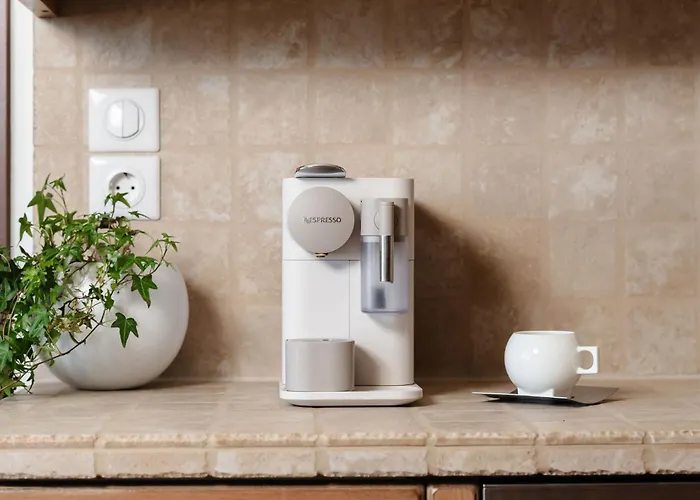 Zelion Стелида