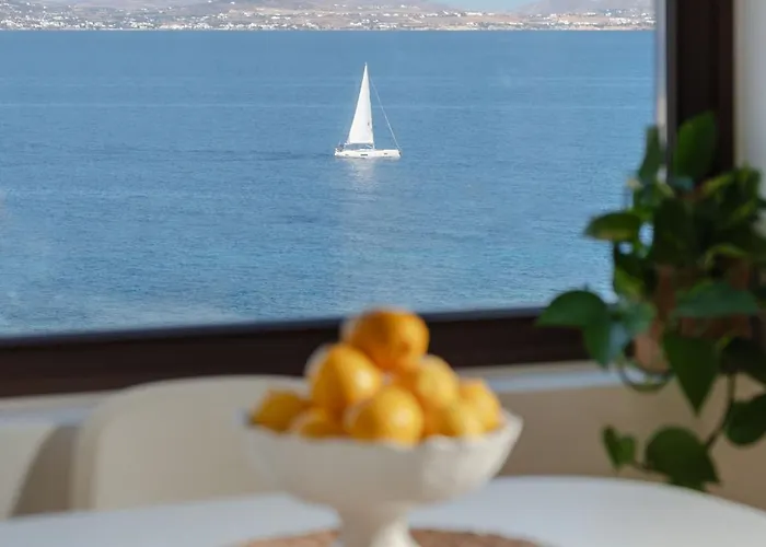 Zelion Стелида