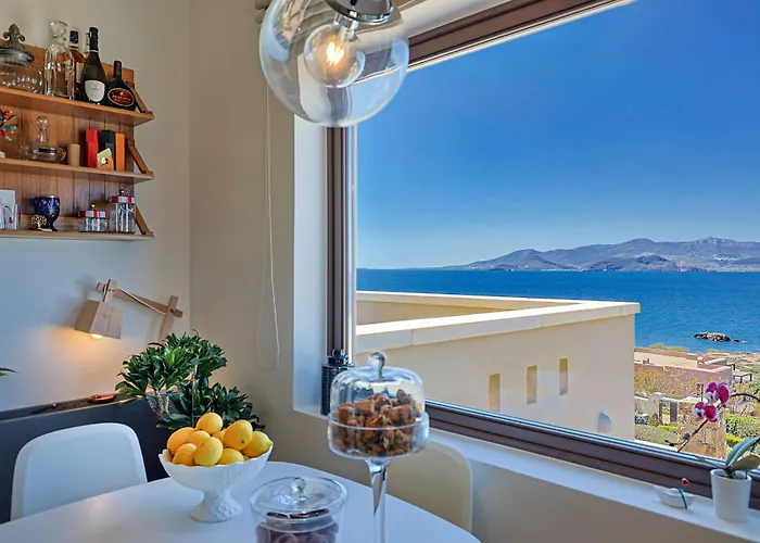 Zelion Στελίδα